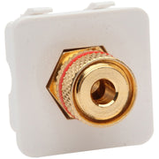 PDL Banana Binery Post Communication Module; 12 - 250VAC, Red Band - White