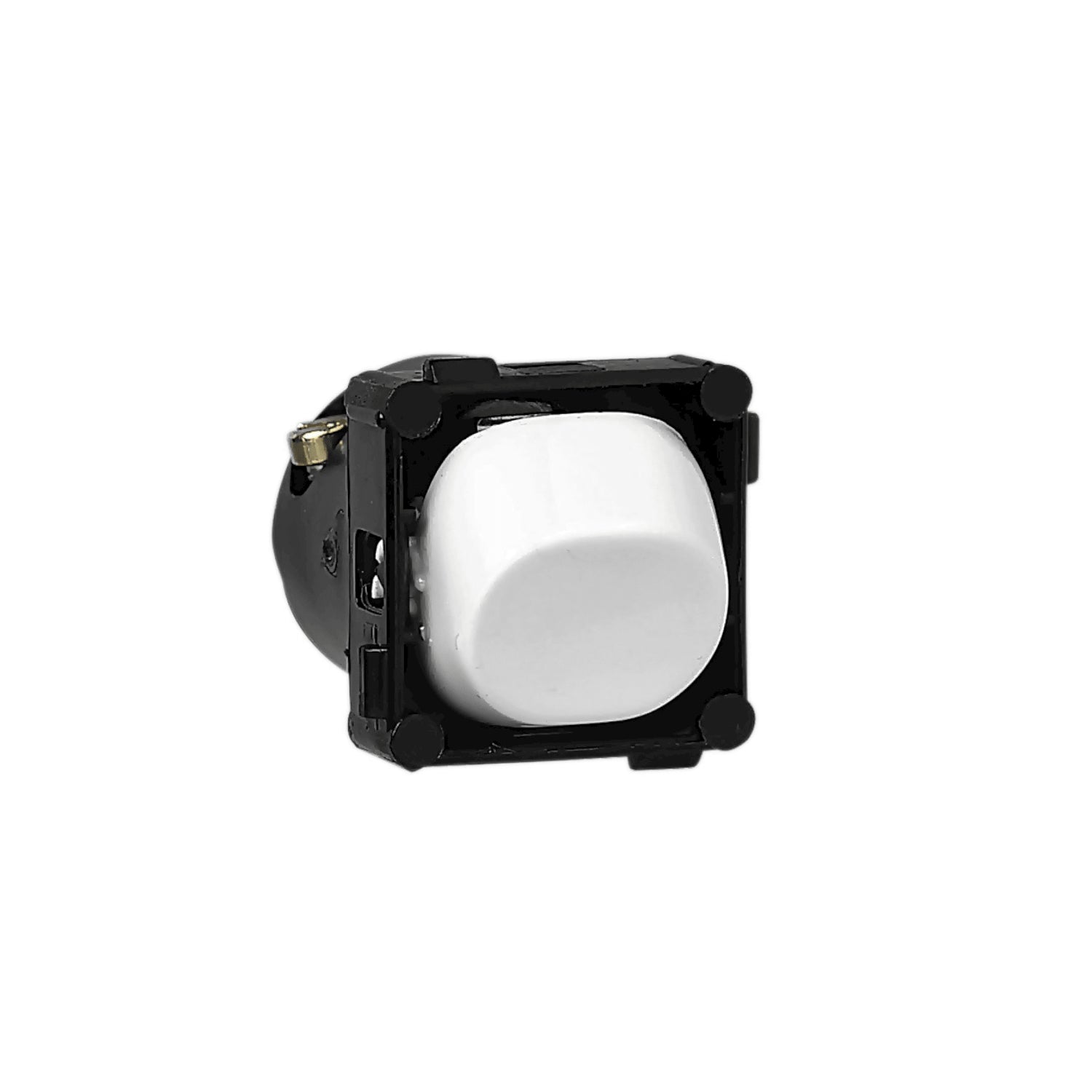 Clipsal 10Amp Switch Module
