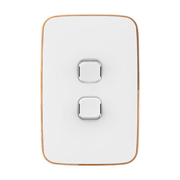 PDL Iconic Essence, cover frame, 2 switches, vertical