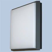Prolux 25Watt LED Bulkhead - Graphite