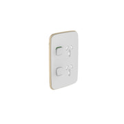 PDL Iconic Essence, cover frame, 2 switches & 2 sockets, 10 A, vertical