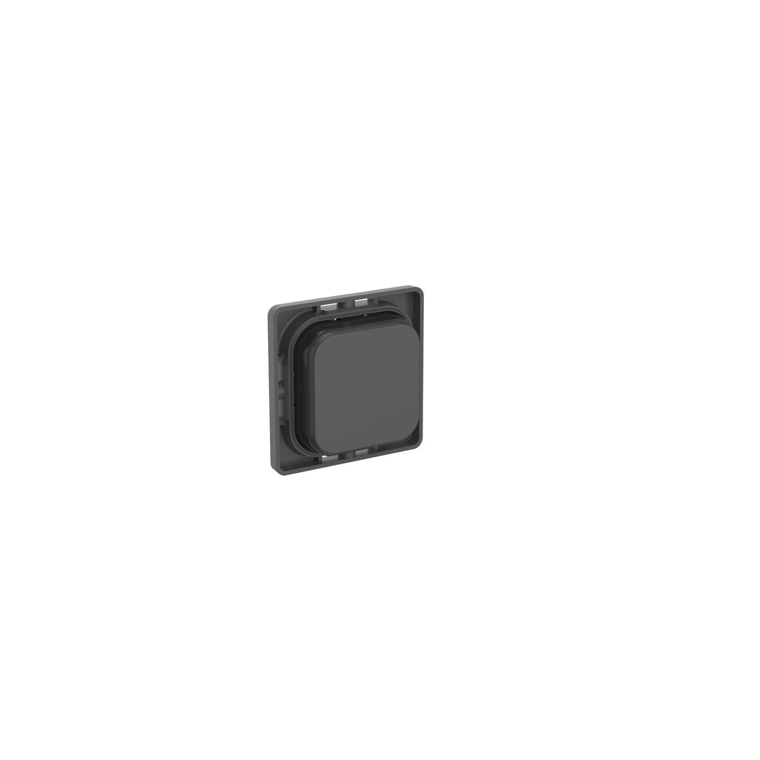 PDL Iconic Pushbutton - Anthracite