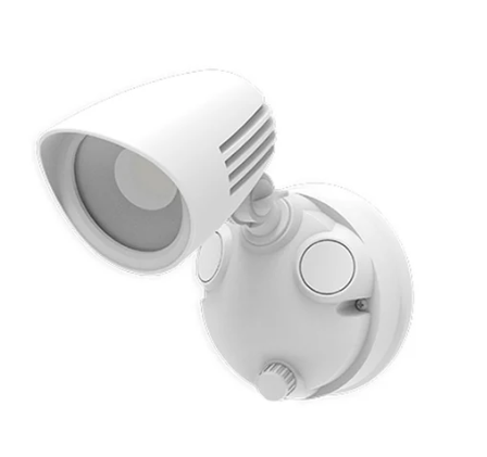 Ambius 10W Security Light White